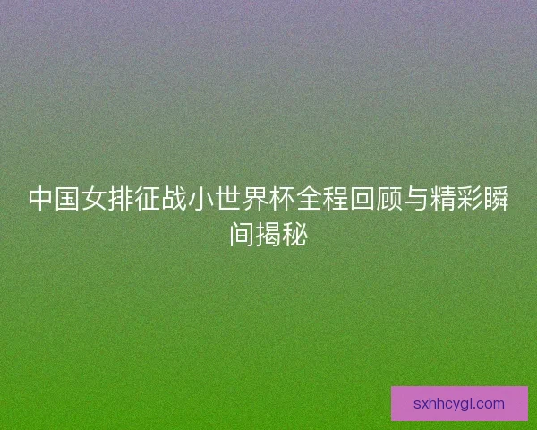 中国女排征战小世界杯全程回顾与精彩瞬间揭秘