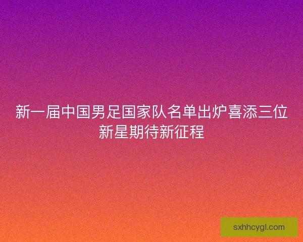 新一届中国男足国家队名单出炉喜添三位新星期待新征程